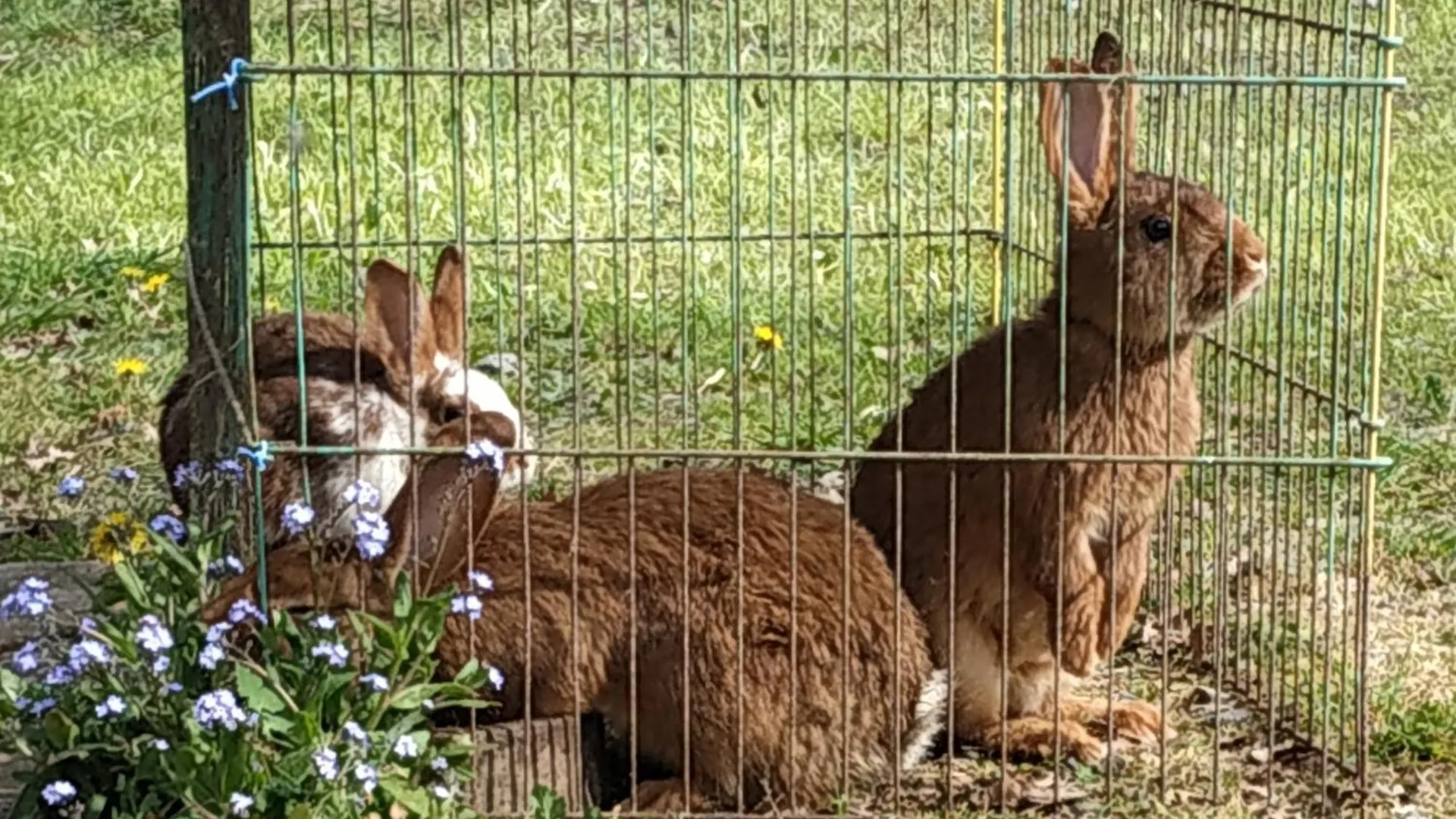 Hébergement de vacances La maison à Jean Val-Couesnon